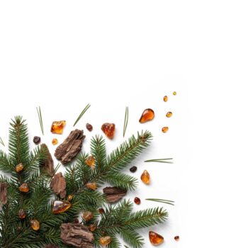 Отдушка - Сумеречный лес и янтарь (USA)