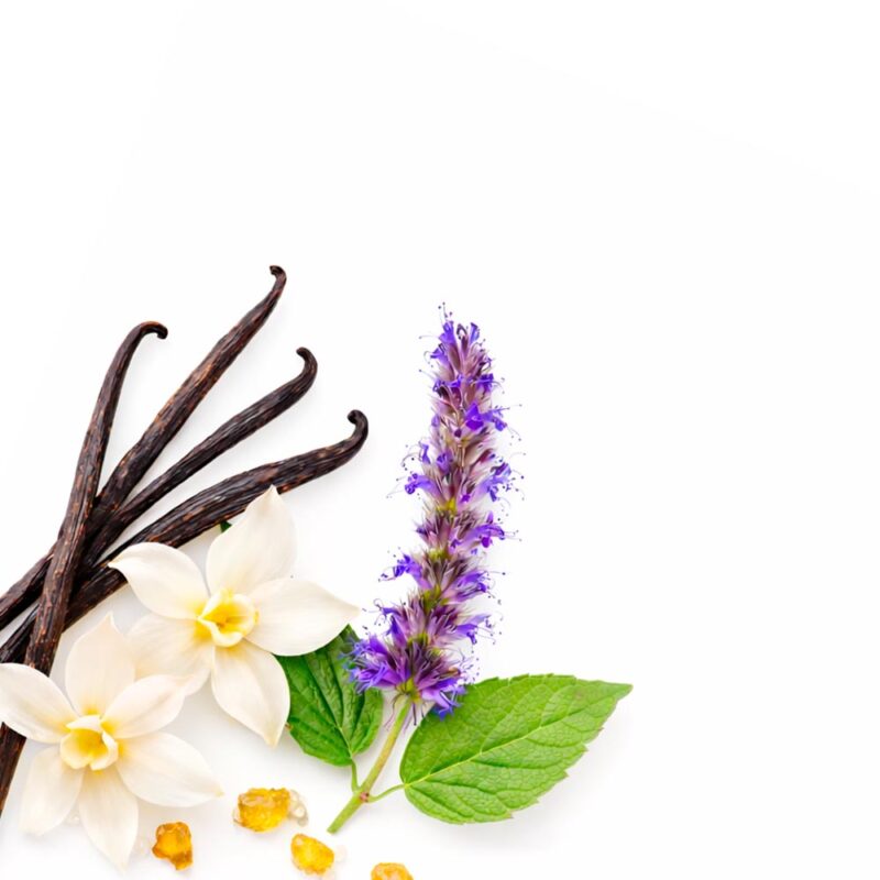 ваниль и пачули