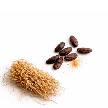 Отдушка - Ветивер и бобы тонка (USA)