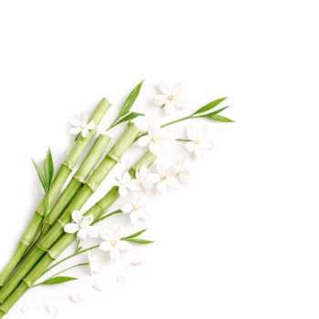 Отдушка - Дикий жасмин и бамбук (USA)