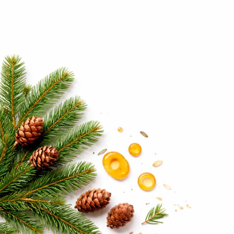 пихта и бальзам-2