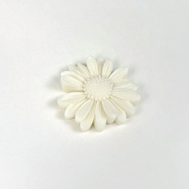 daisy 2