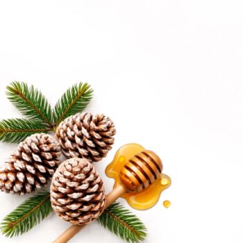 Отдушка - Мёд с сосновыми шишками (USA)